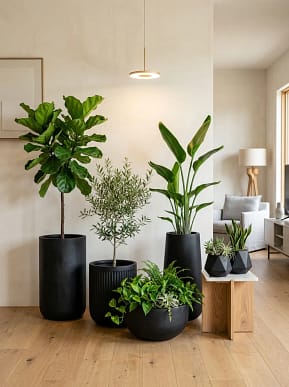 indoor windowsill planter Planter Pot With Drainage, Saucer Included